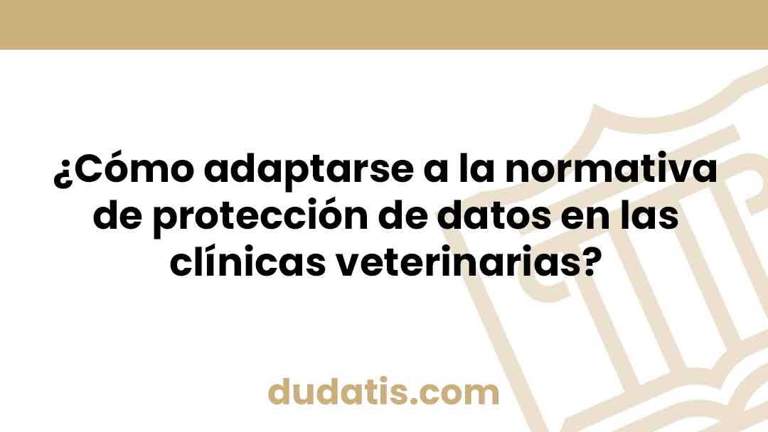 ¿Cómo adaptarse a la normativa de protección de datos en las clínicas veterinarias?