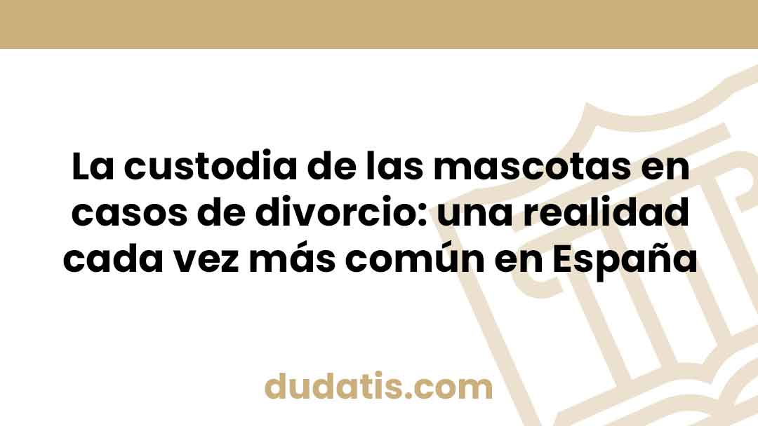 La custodia de las mascotas en casos de divorcio: una realidad cada vez más común en España